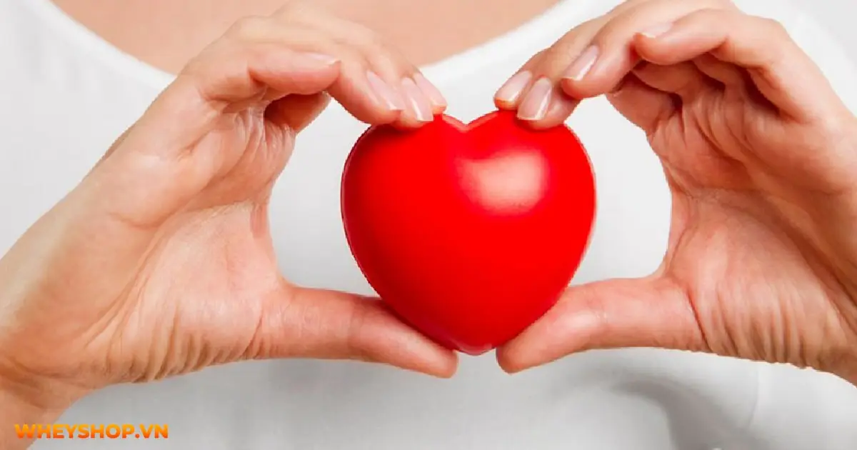 vai-tro-cua-dha-voi-nguoi-tap-the-hinh-04-min