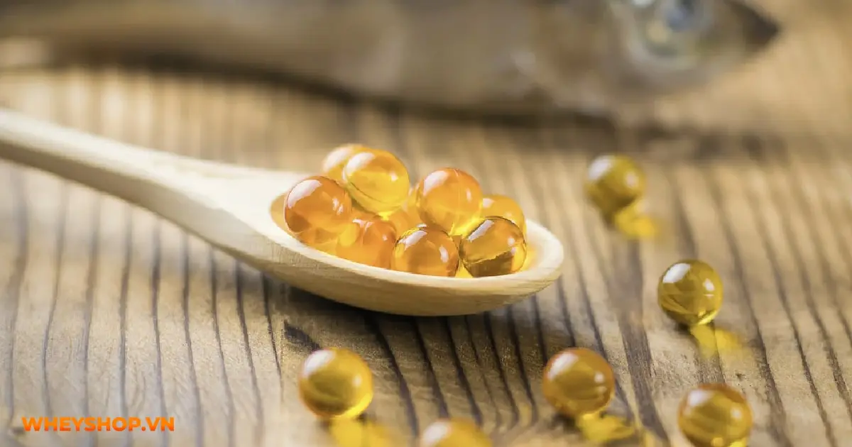 vai-tro-cua-dha-voi-nguoi-tap-the-hinh-04-min