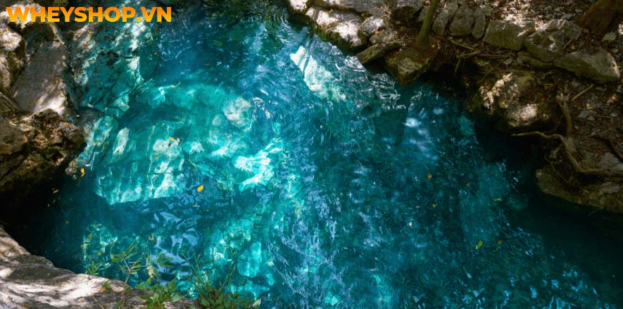 Nếu bạn chưa biết về vai trò của nước trong đời sống và sức khoẻ con người thì hãy cùng WheyShop tham khảo chi tiết bài viết ngay sau đây...