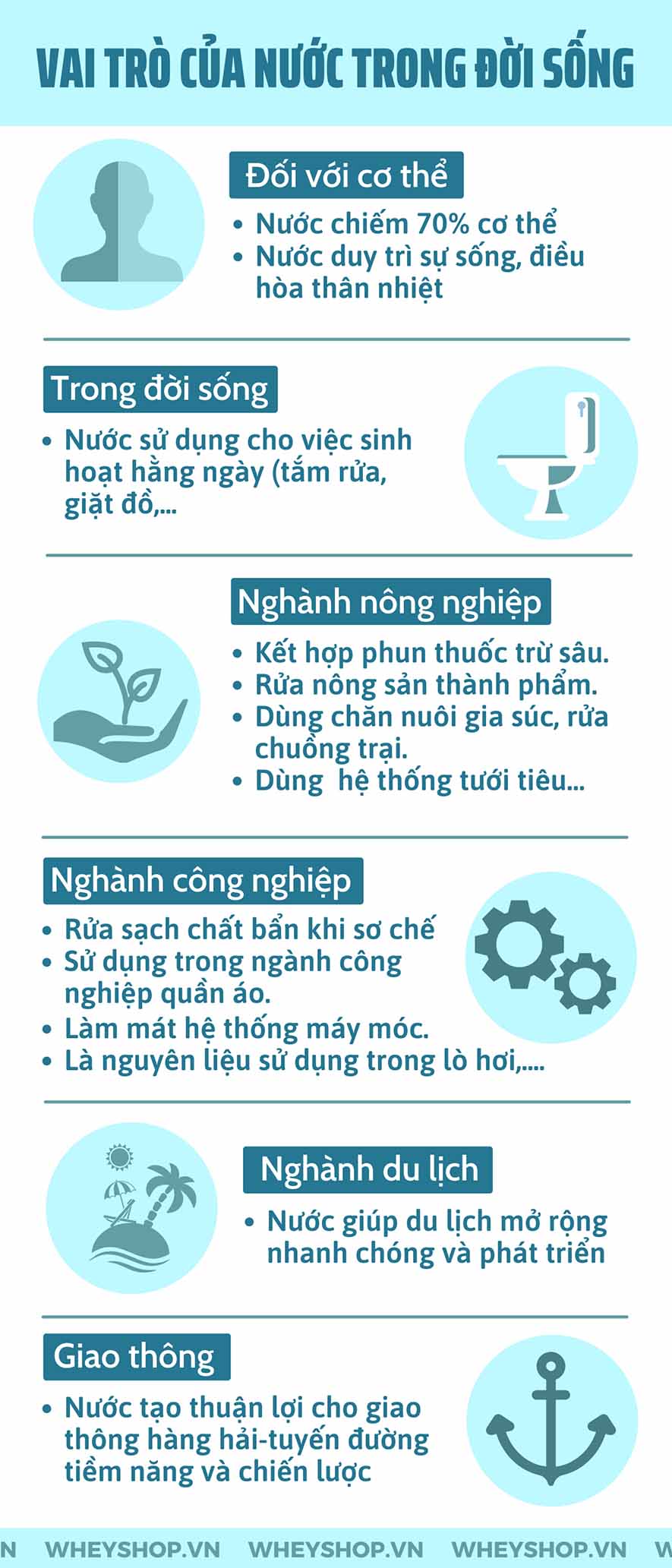 Nếu bạn chưa biết về vai trò của nước trong đời sống và sức khoẻ con người thì hãy cùng WheyShop tham khảo chi tiết bài viết ngay sau đây...