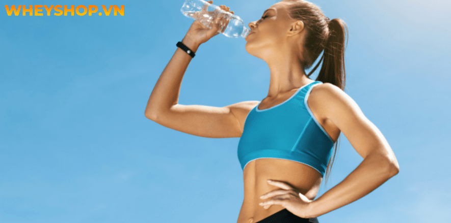 Nếu bạn chưa biết về vai trò của nước trong đời sống và sức khoẻ con người thì hãy cùng WheyShop tham khảo chi tiết bài viết ngay sau đây...