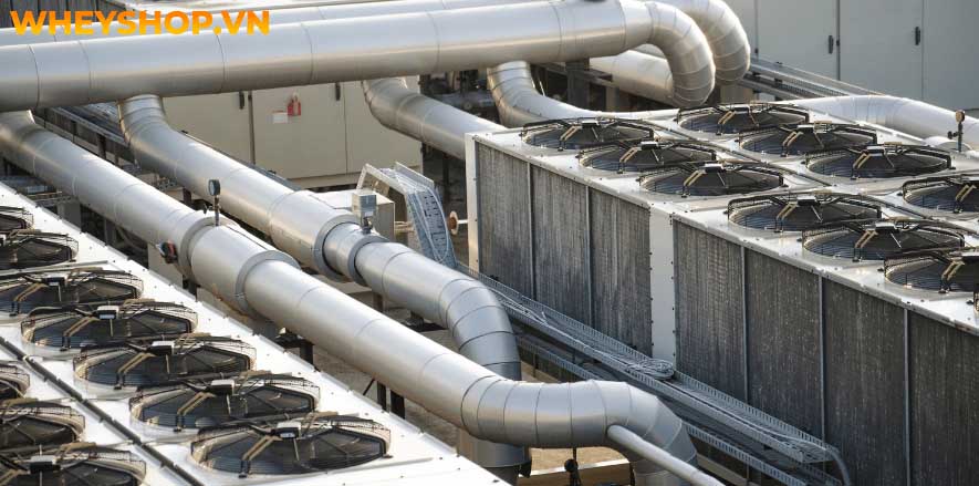 Nếu bạn chưa biết về vai trò của nước trong đời sống và sức khoẻ con người thì hãy cùng WheyShop tham khảo chi tiết bài viết ngay sau đây...