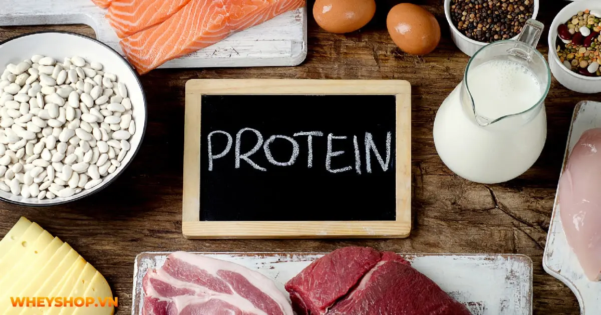 vai-tro-cua-protein-trong-dinh-duong-the-hinh-32-04-min