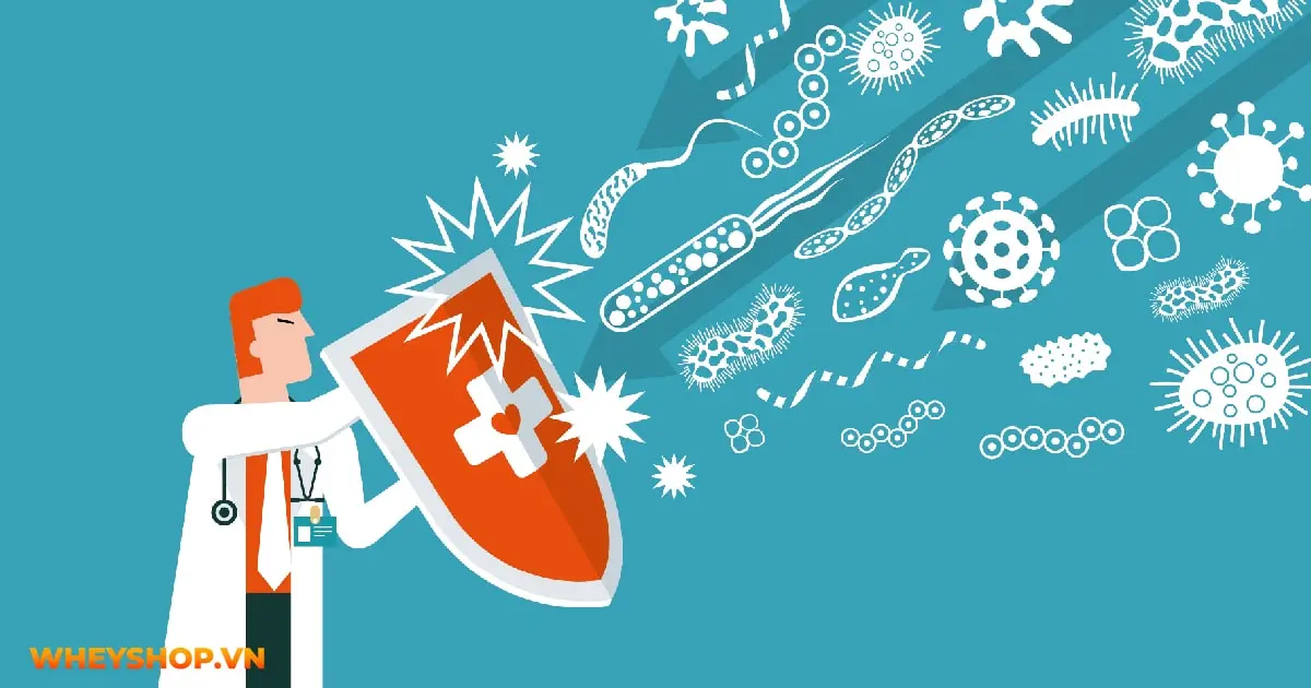 vai-tro-cua-protein-trong-dinh-duong-the-hinh-32-04-min