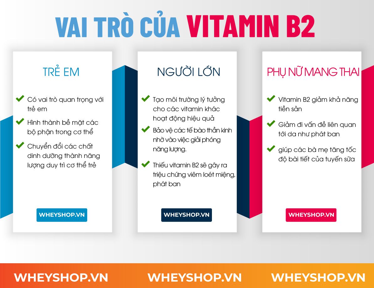 Nếu bạn đang băn khoăn về lợi ích của Vitamin B2 thì hãy cùng WheyShop tìm hiểu chi tiết qua bài viết ngay sau đây nhé...