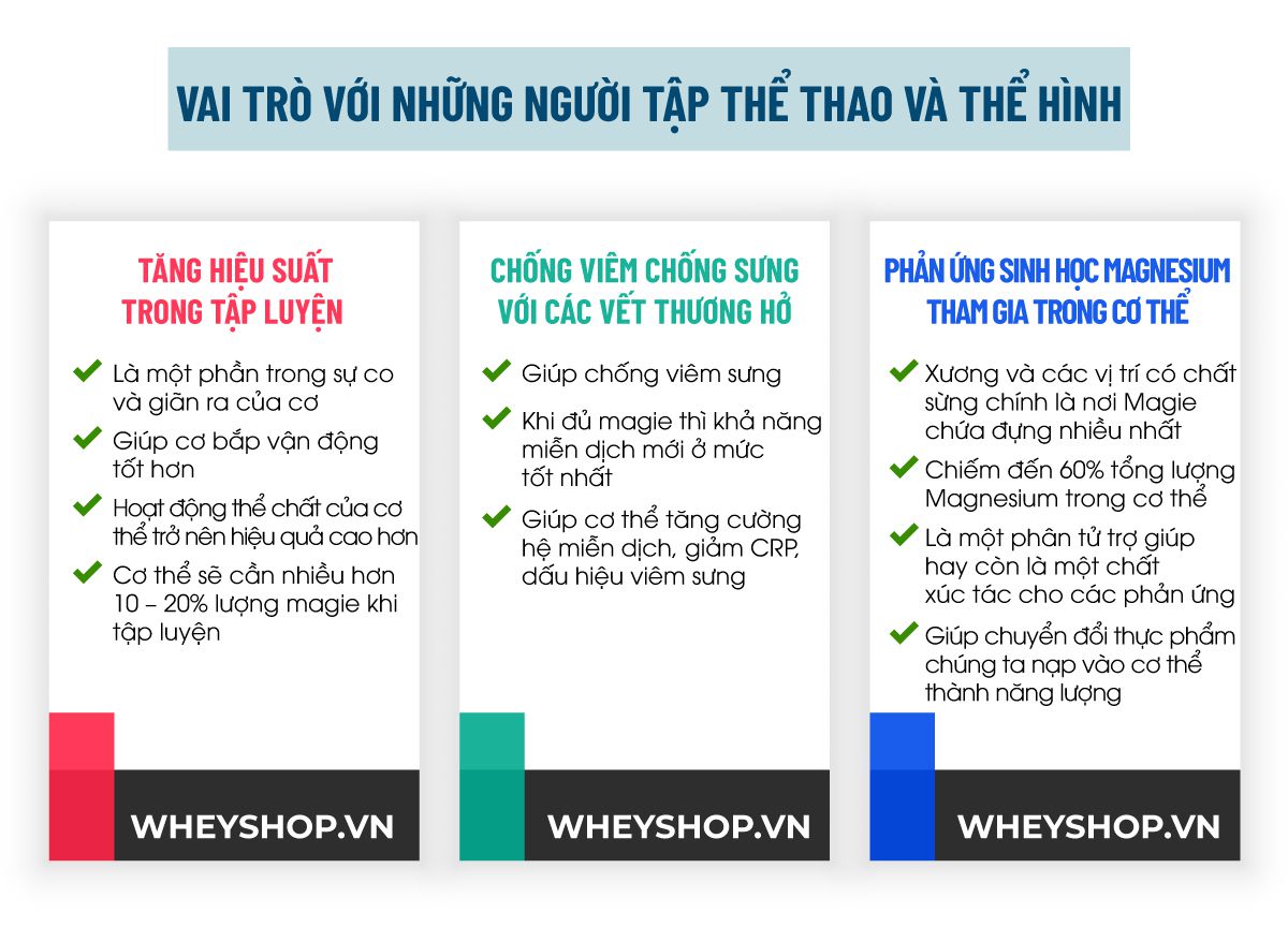 Nếu bạn đang băn khoăn chưa hiểu rõ Magnesium là gì thì hãy cùng WheyShop tìm hiểu lợi ích vai trò của Magnesium với sức khỏe người tập gym, thể hình...
