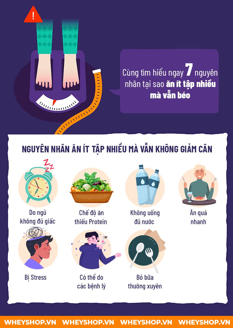 Vì sao ăn ít tập nhiều mà vẫn không giảm cân? Hãy cùng WheyShop tìm hiểu 7 nguyên nhân mà ai cũng mắc phải khiến bạn khó giảm cân qua bài...