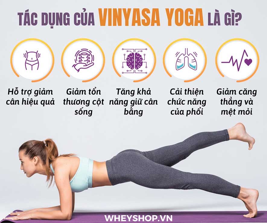Vinyasa Yoga một trường phái yoga đơn giản giúp kết nối cơ thể và tâm trí của người tập. Tại sao loại hình Yoga này lại phổ biến như vậy? Bài viết dưới đây...