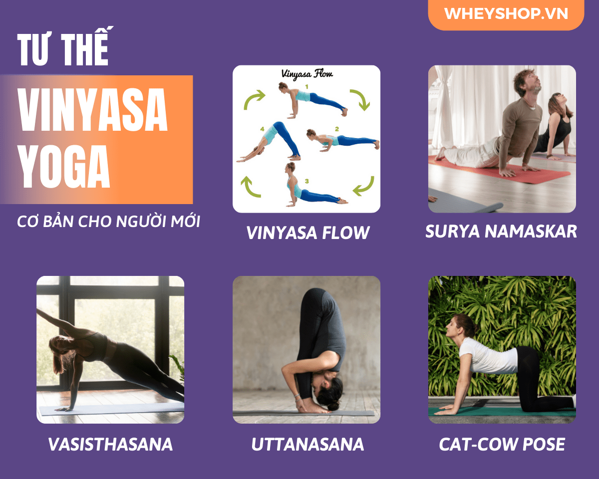 Vinyasa Yoga một trường phái yoga đơn giản giúp kết nối cơ thể và tâm trí của người tập. Tại sao loại hình Yoga này lại phổ biến như vậy? Bài viết dưới đây...