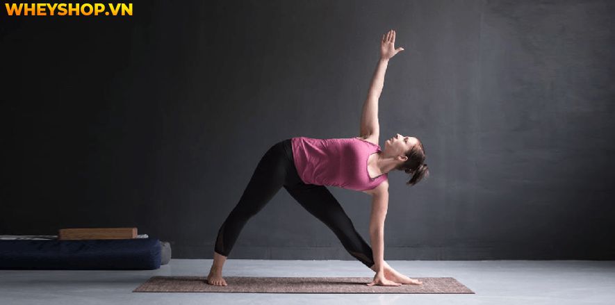 Vinyasa Yoga một trường phái yoga đơn giản giúp kết nối cơ thể và tâm trí của người tập. Tại sao loại hình Yoga này lại phổ biến như vậy? Bài viết dưới đây...