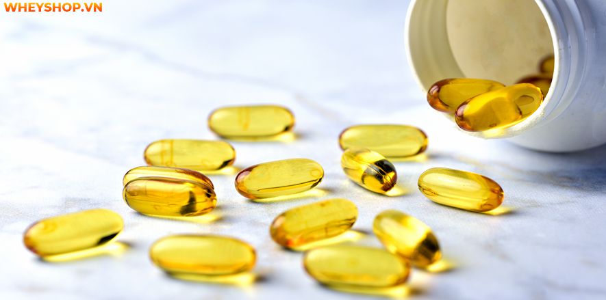 Cung cấp năng lượng và hỗ trợ chuyển hóa