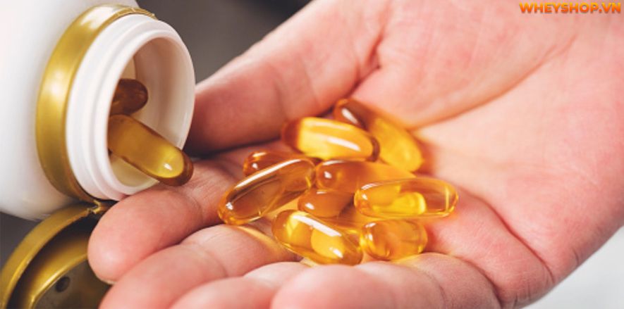 Tìm hiểu ngay Top 10 Vitamin cho người tập gym quan trọng nhất, cải thiện sức khỏe, tăng cường sức đề kháng, hỗ trợ tăng cơ giảm mỡ hiệu quả...