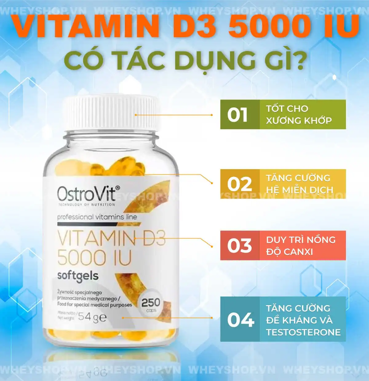 vitamine-d3-la-gi-cach-dung-vitamin-d3-cho-nguoi-lon-hieu-qua