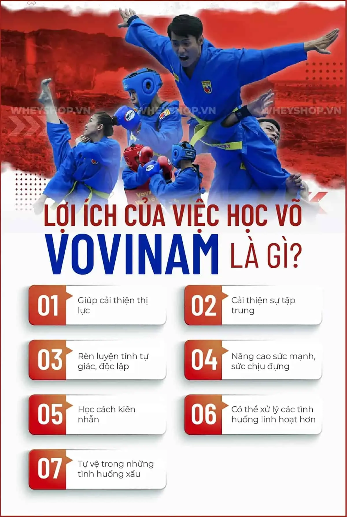 vovinam-la-gi-mon-vo-co-truyen-cua-viet-nam-6