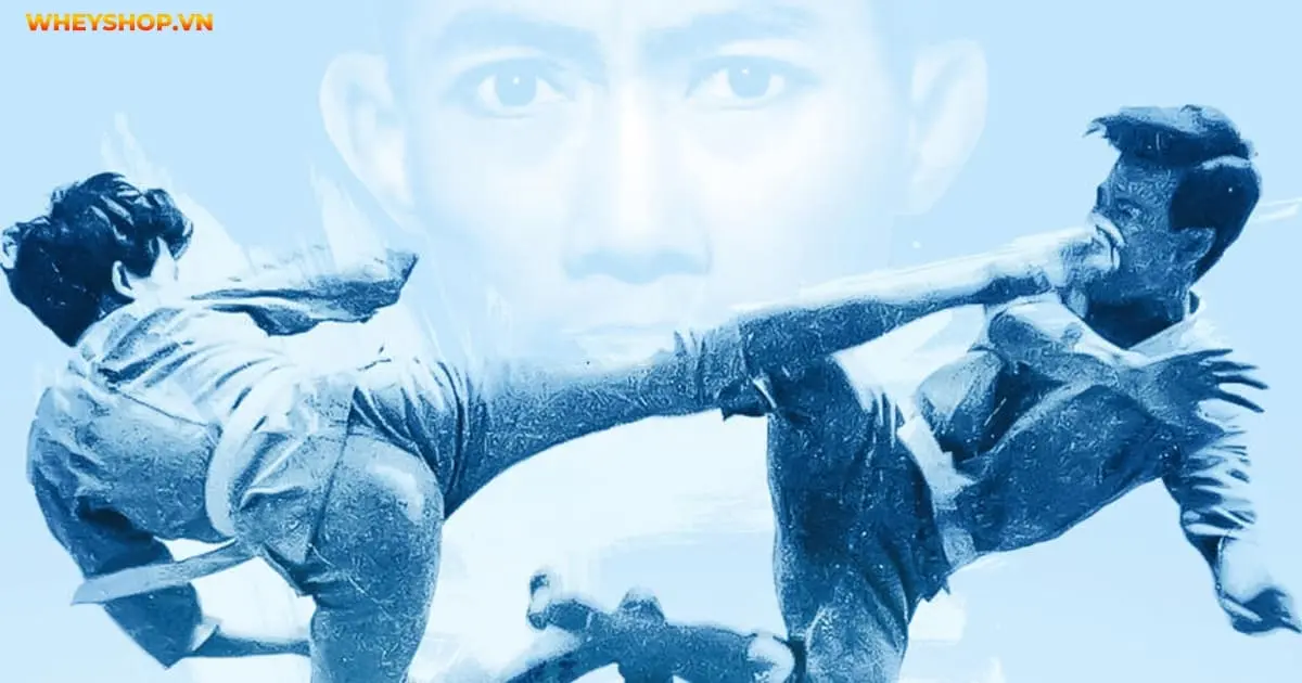 vovinam-la-gi-mon-vo-co-truyen-cua-viet-nam-6