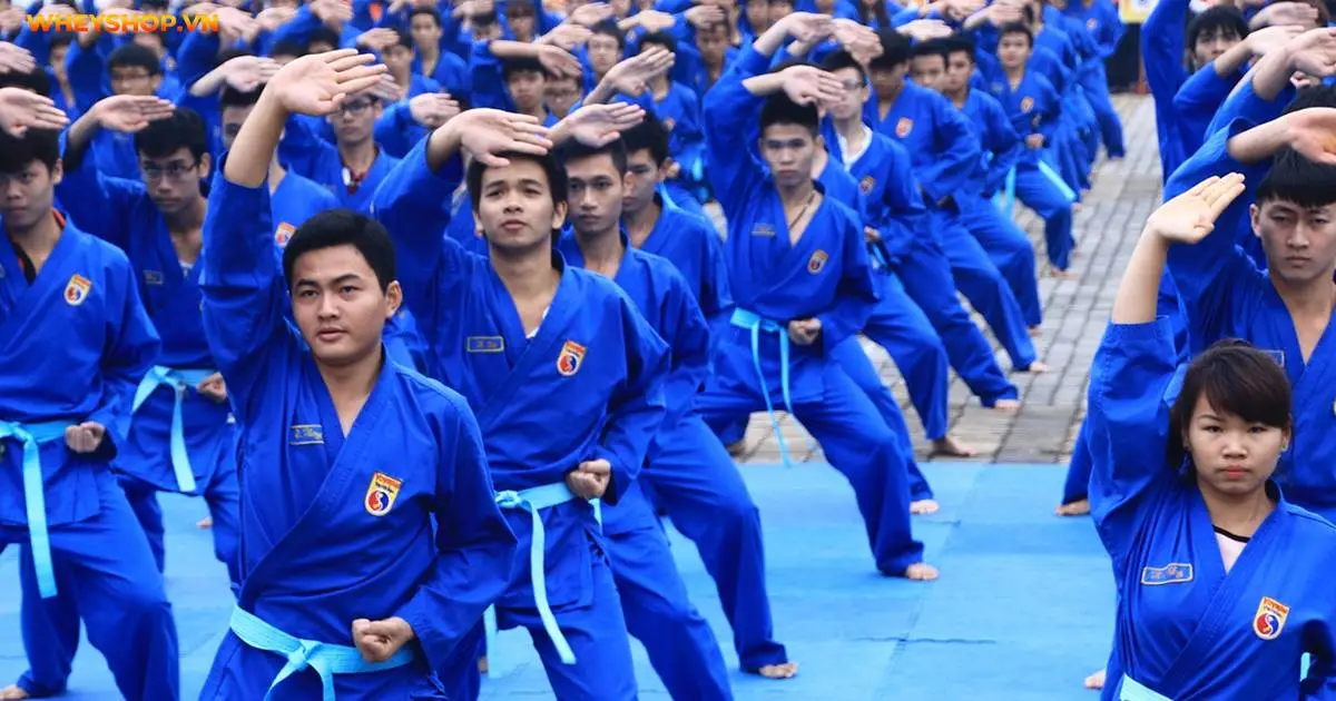 vovinam-la-gi-mon-vo-co-truyen-cua-viet-nam-6