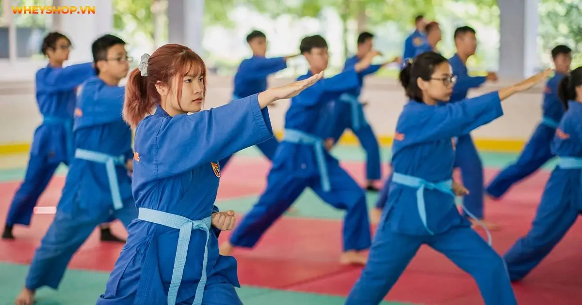 vovinam-la-gi-mon-vo-co-truyen-cua-viet-nam-6