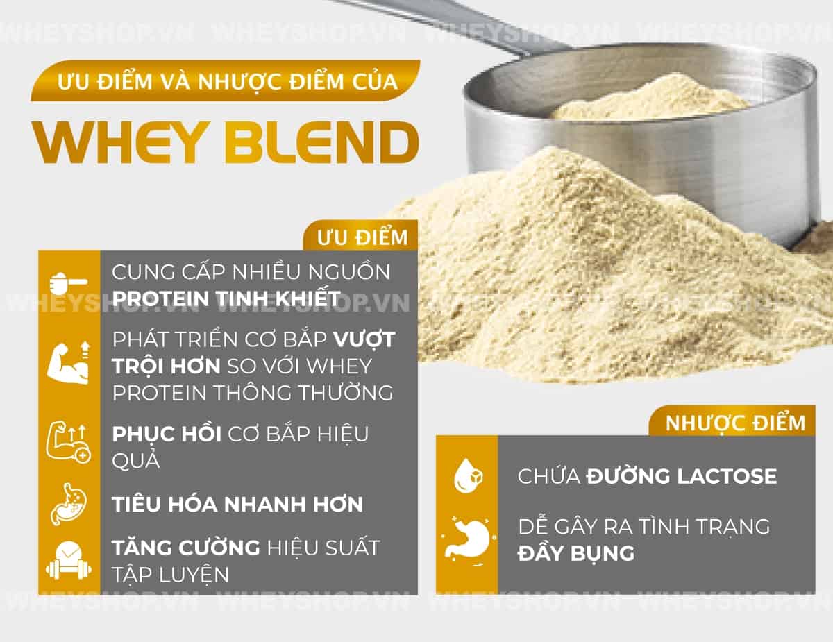 Thật khó để biết được loại Whey Protein nào phù hợp với bản thân. Vì vậy, bài viết này WheyShop sẽ giải đáp Whey Blend là gì và Top 5 Whey Blend ưa chuộng...
