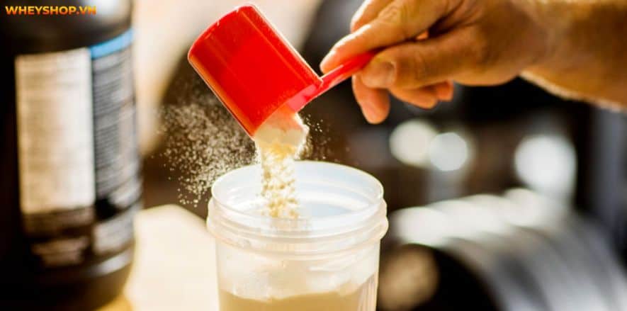 Thật khó để biết được loại Whey Protein nào phù hợp với bản thân. Vì vậy, bài viết này WheyShop sẽ giải đáp Whey Blend là gì và Top 5 Whey Blend ưa chuộng...