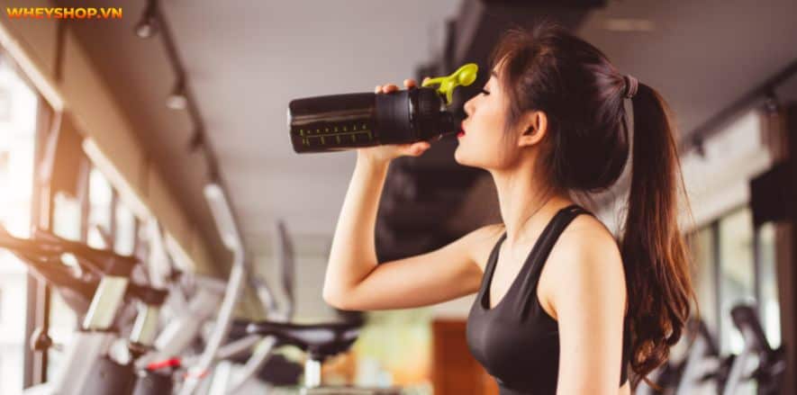 Thật khó để biết được loại Whey Protein nào phù hợp với bản thân. Vì vậy, bài viết này WheyShop sẽ giải đáp Whey Blend là gì và Top 5 Whey Blend ưa chuộng...