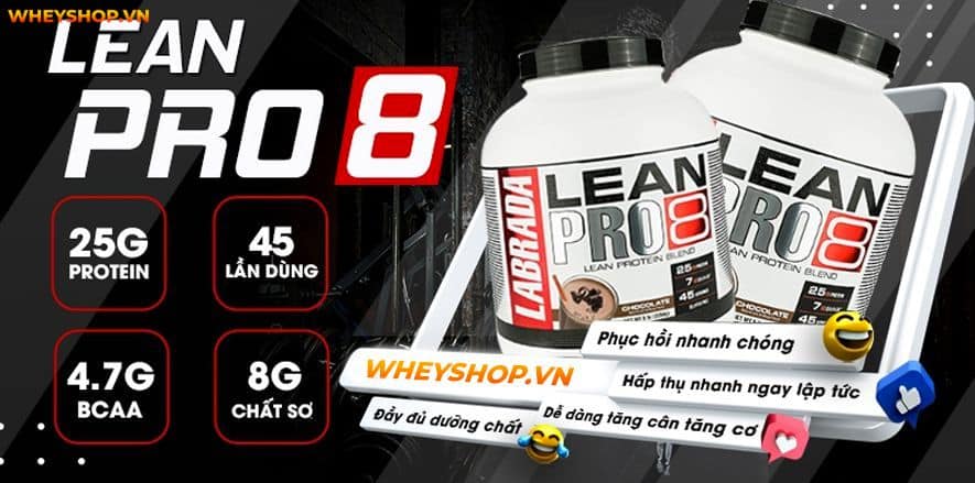 Thật khó để biết được loại Whey Protein nào phù hợp với bản thân. Vì vậy, bài viết này WheyShop sẽ giải đáp Whey Blend là gì và Top 5 Whey Blend ưa chuộng...