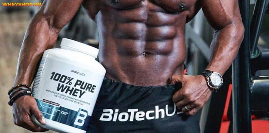 Thật khó để biết được loại Whey Protein nào phù hợp với bản thân. Vì vậy, bài viết này WheyShop sẽ giải đáp Whey Blend là gì và Top 5 Whey Blend ưa chuộng...