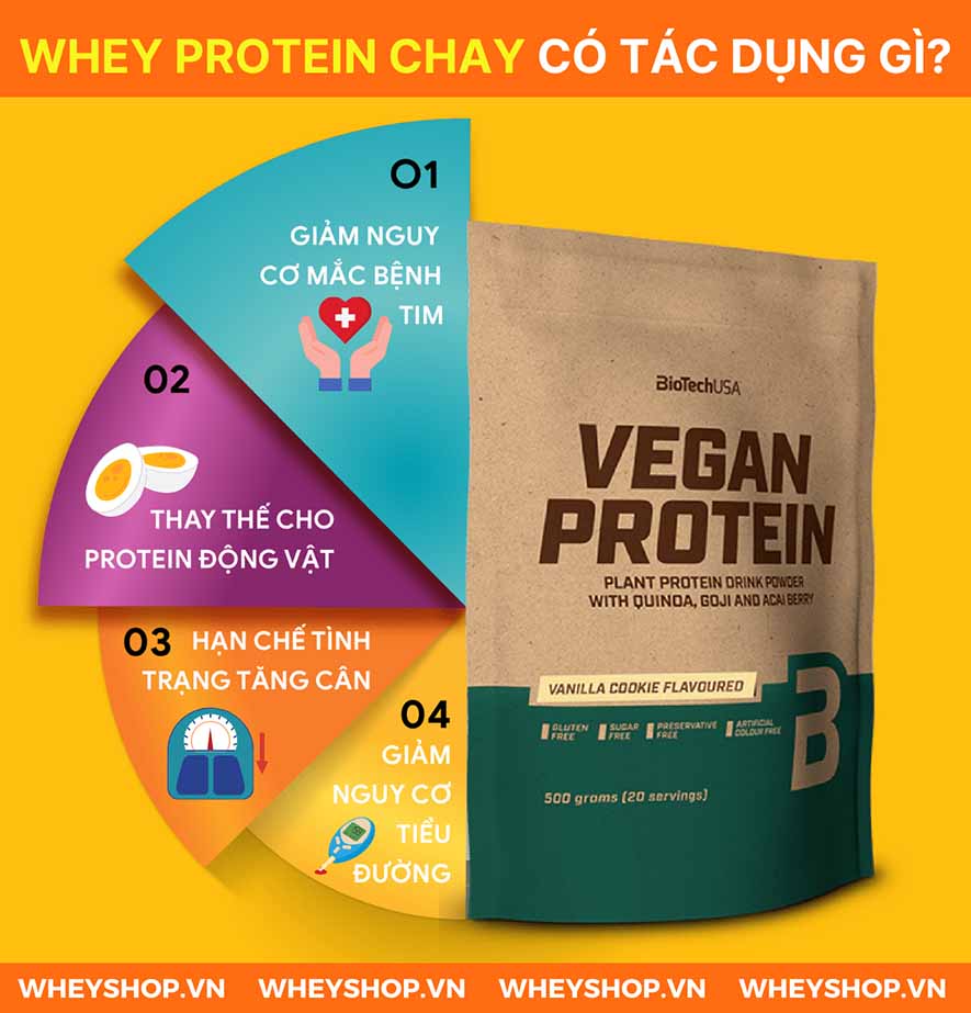 Nếu bạn đang băn khoăn tìm hiểu không rõ Whey Protein chay có tốt không, có nên sử dụng Whey Protein chay không thì hãy cùng tham khảo bài viết...