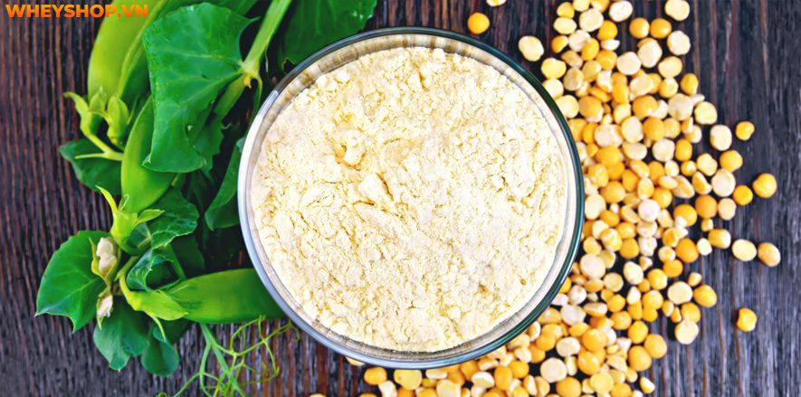 Nếu bạn đang băn khoăn tìm hiểu không rõ Whey Protein chay có tốt không, có nên sử dụng Whey Protein chay không thì hãy cùng tham khảo bài viết...
