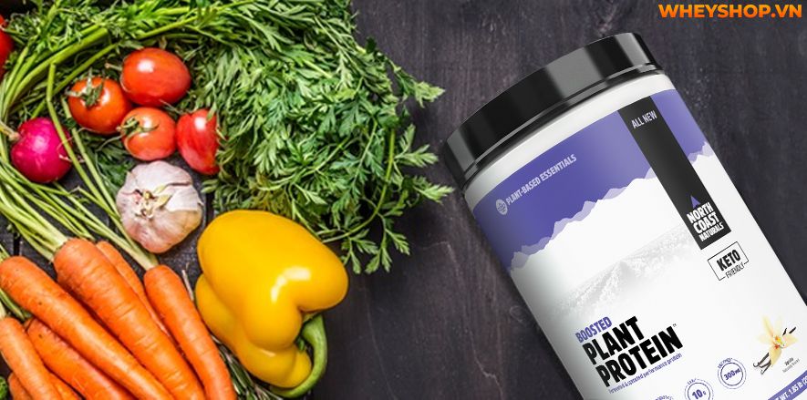 Nếu bạn đang băn khoăn tìm hiểu không rõ Whey Protein chay có tốt không, có nên sử dụng Whey Protein chay không thì hãy cùng tham khảo bài viết...