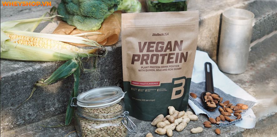 Nếu bạn đang băn khoăn tìm hiểu không rõ Whey Protein chay có tốt không, có nên sử dụng Whey Protein chay không thì hãy cùng tham khảo bài viết...