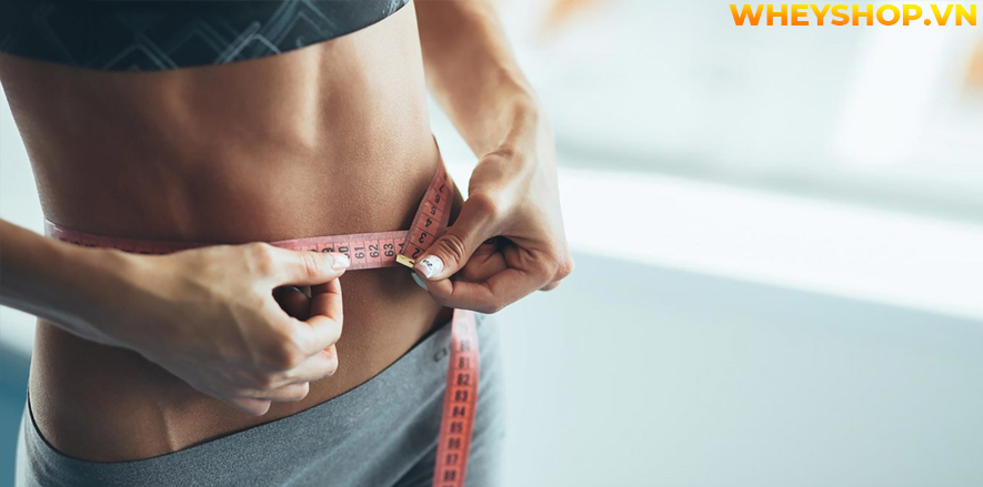 Nếu bạn đang băn khoăn tìm kiếm sản phẩm Whey Protein cho nữ thì hãy cùng WheyShop tham khảo chi tiết bài viết ngay sau đây nhé...