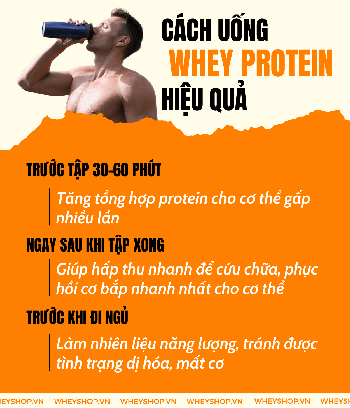 Nếu bạn đang băn khoăn Whey Protein dùng được bao lâu thì hãy cùng WheyShop tìm hiểu chi tiết qua bài viết ngay sau đây...