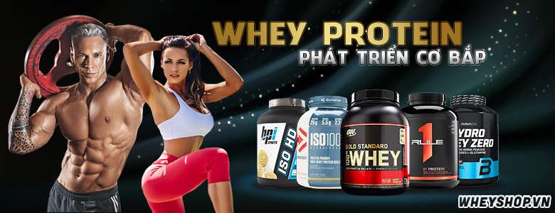 Whey Protein là sữa tăng cơ giảm mỡ, thực chất là đạm, là 1 trong 2 loại protein chính trong sữa, chiếm khoảng 20% tỷ lệ trong sữa, Whey Protein tại Wheyshop là sản phẩm chính hãng có giá tốt tại Hà Nội, TPHCM