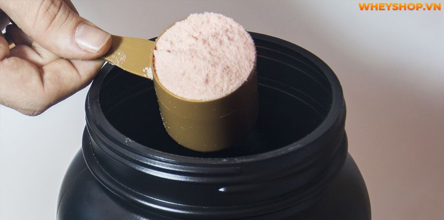 Casein là gì? Vai trò của Casein đối với việc phục hồi và phát triển cơ bắp? Tập gym có cần thiết bổ sung Casein hay không? Tác dụng phụ cần biết khi dùng Casein