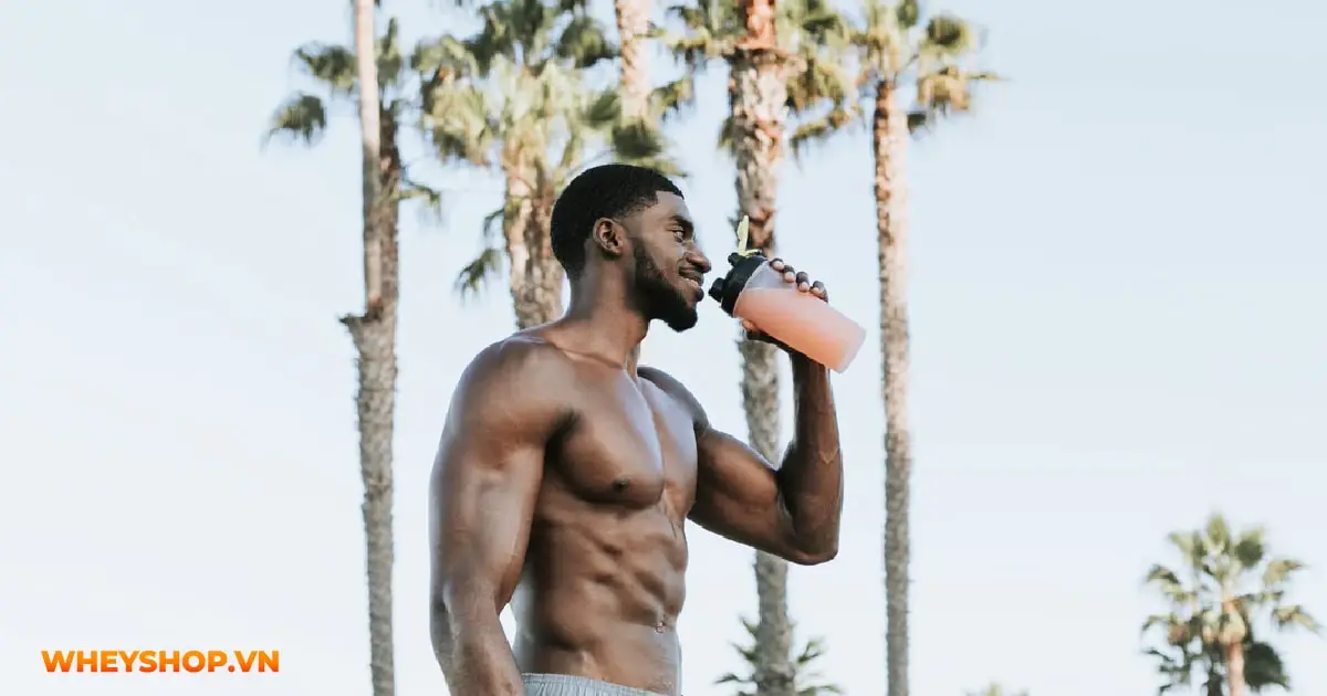 whey-protein-uong-nhu-the-nao-03-min