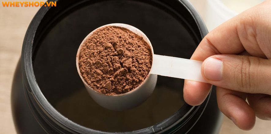 Cùng WheyShop giải đáp thắc mắc và tìm hiểu khái niệm Whey tăng cân là gì? Whey tăng cân có tốt không ? Có nên sử dụng Whey tăng cân không ?