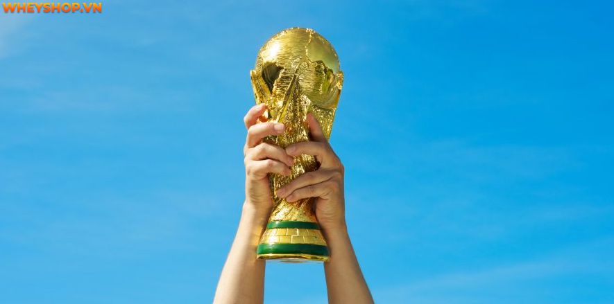 World Cup từ lâu đã trở thành món ăn tinh thần không thể thiếu của người hâm mộ bóng đá trên toàn thế giới. Vậy World Cup có mấy vòng loại ? Xin mời các bạn...