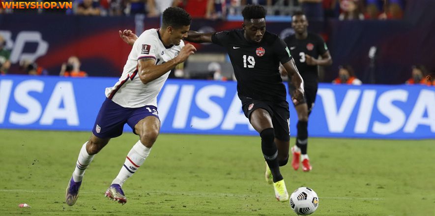 World Cup có mấy vòng loại