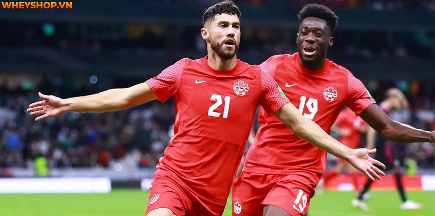 World Cup từ lâu đã trở thành món ăn tinh thần không thể thiếu của người hâm mộ bóng đá trên toàn thế giới. Vậy World Cup có mấy vòng loại ? Xin mời các bạn...