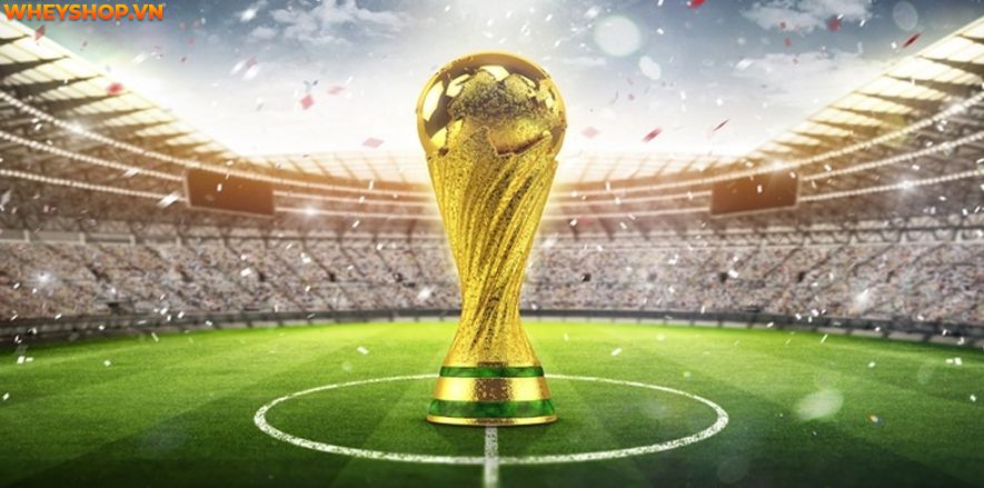 World Cup là gì?