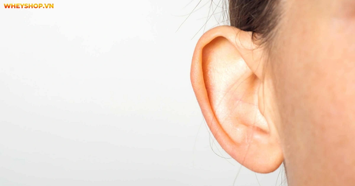 xem-tuong-tai-chuot-tich-cach-van-menh-cuoc-doi