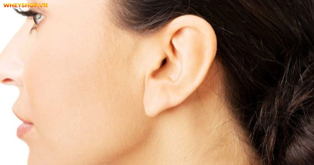 xem-tuong-tai-chuot-tich-cach-van-menh-cuoc-doi