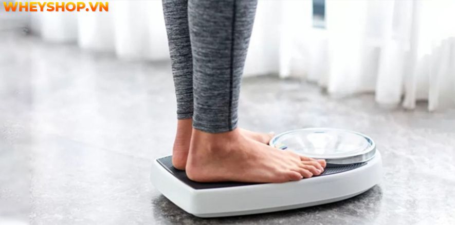 Xoài chua là một loại trái cây phổ biến tại Việt Nam, xoài là một loại trái cây được nhiều người biết đến với nhiều loại khác nhau. Khi còn xanh, x oài chua...