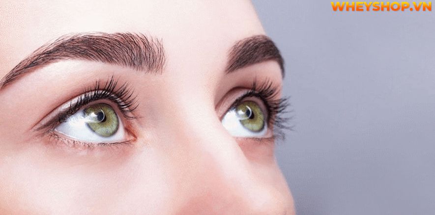 Xoài chua là một loại trái cây phổ biến tại Việt Nam, xoài là một loại trái cây được nhiều người biết đến với nhiều loại khác nhau. Khi còn xanh, x oài chua...