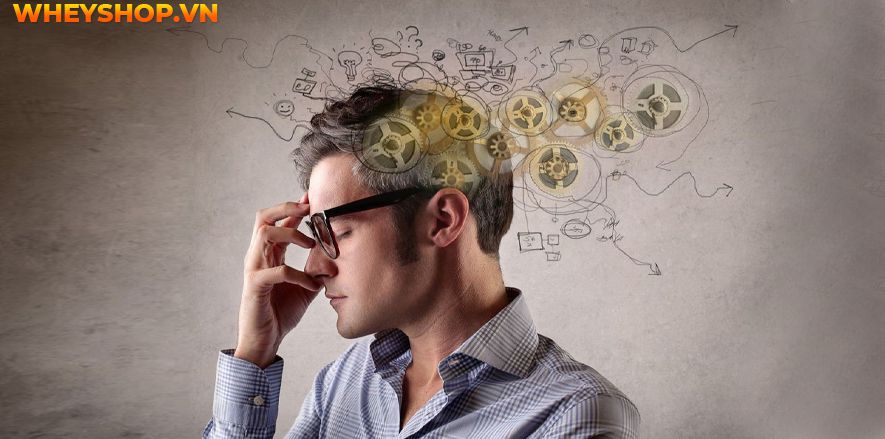 Xoài chua là một loại trái cây phổ biến tại Việt Nam, xoài là một loại trái cây được nhiều người biết đến với nhiều loại khác nhau. Khi còn xanh, x oài chua...