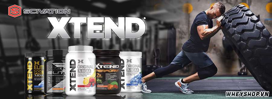 Scivation là hãng thực phẩm bổ sung nổi tiếng với sản phẩm bcaa xtend . Scivation được nhập khẩu và phân phối chính hãng tại việt nam . wheyshop giá rẻ