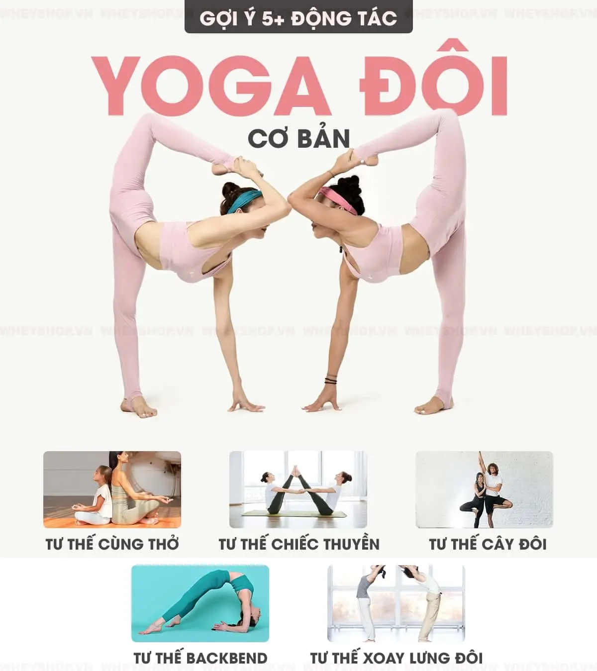 yoga-doi-la-gi-dong-tac-yoga-doi-co-ban-nang-cao