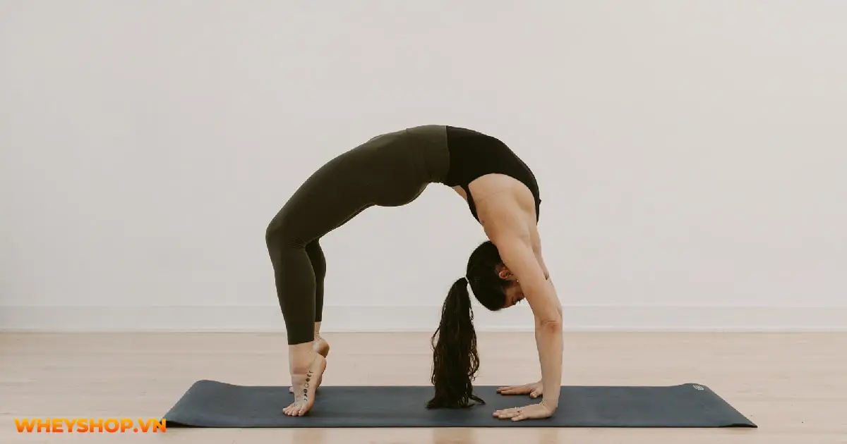 yogi-la-gi-5-yeu-to-de-tro-thanh-mot-yogi-thuc-thu-04-min