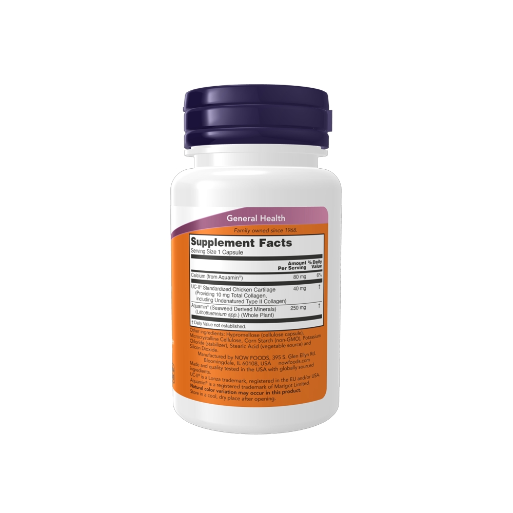 Now UC-II Collagen Type II (120 viên)