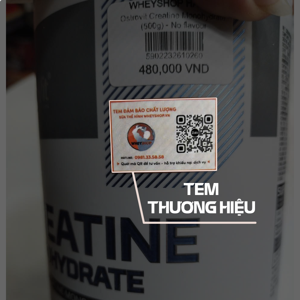Ostrovit Creatine Monohydrate (500g)